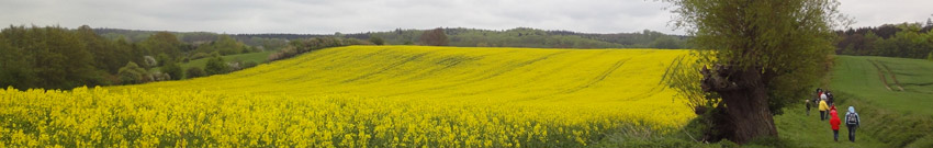 Urlaub Region Kühlungsborn, Wittenbeck, Rerik, Heiligendamm, Steffenshagen